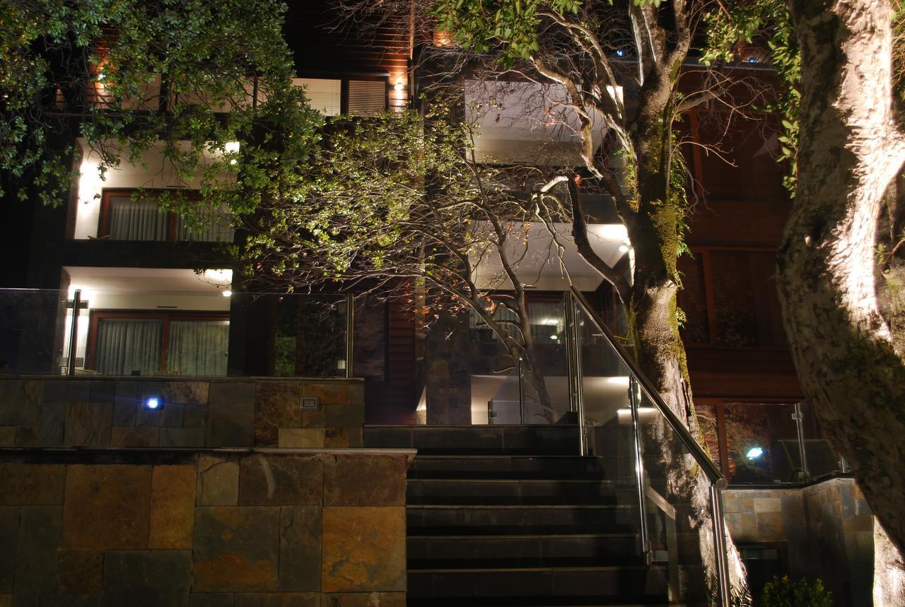 Hotel Playa Grande Suites Pucón Exteriér fotografie